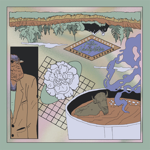 藤原辽子初菊门注入
