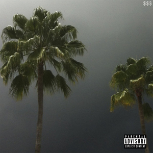 藤原辽子初菊门注入
